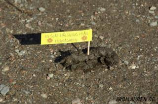 Om du skrivit ut adressen hade jag kunnat komma och hälsa tillbaka personligen